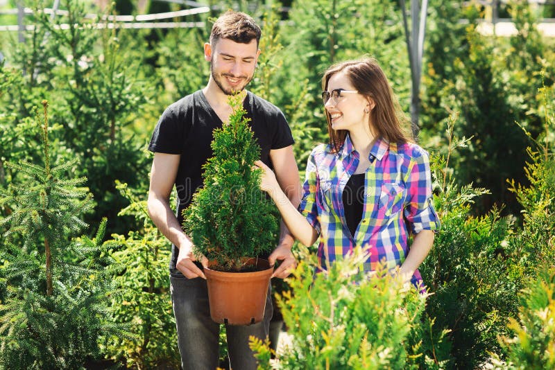 Jeune position de couples ensemble, tenant un pot avec un petit arbre de sapin et regardant une usine à la jardinerie photographie stock libre de droits Jeune position de couples ensemble, tenant un pot avec un petit arbre de sapin et regardant une usine à la jardinerie photographie stock libre de droits