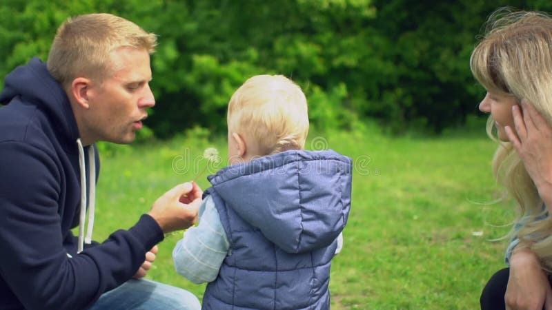 Jeune père heureux soufflant au pissenlit, petit fils regardant en parc