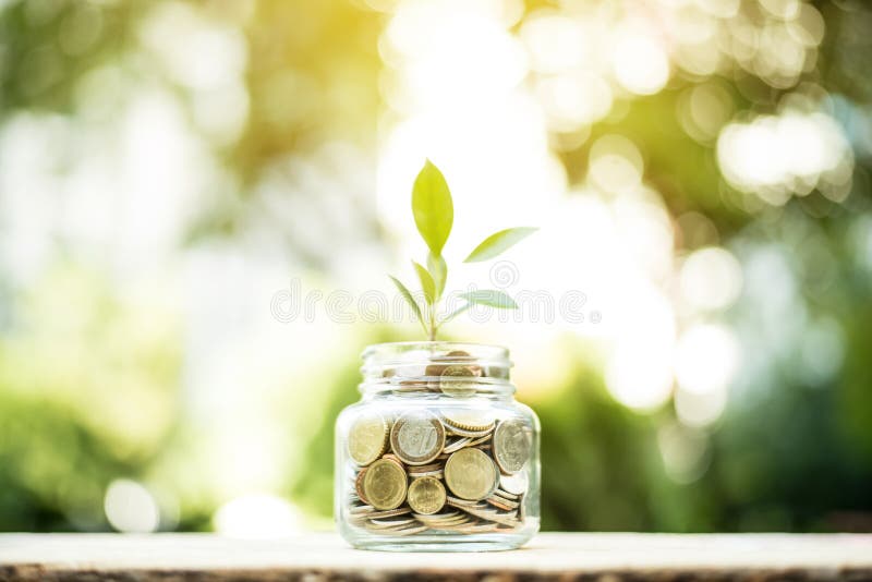 Jeune usine s'élevant dans le pot en verre qui ont des pièces de monnaie d'argent images libres de droits Jeune usine s'élevant dans le pot en verre qui ont des pièces de monnaie d'argent images libres de droits