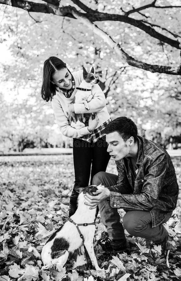 Jeunes couples jouant avec des chiens dehors en automne photos libres de droits Jeunes couples jouant avec des chiens dehors en automne photos libres de droits