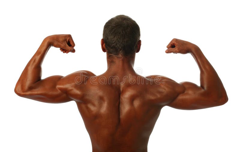 jeunes de bodybuilder images stock jeunes de bodybuilder images stock