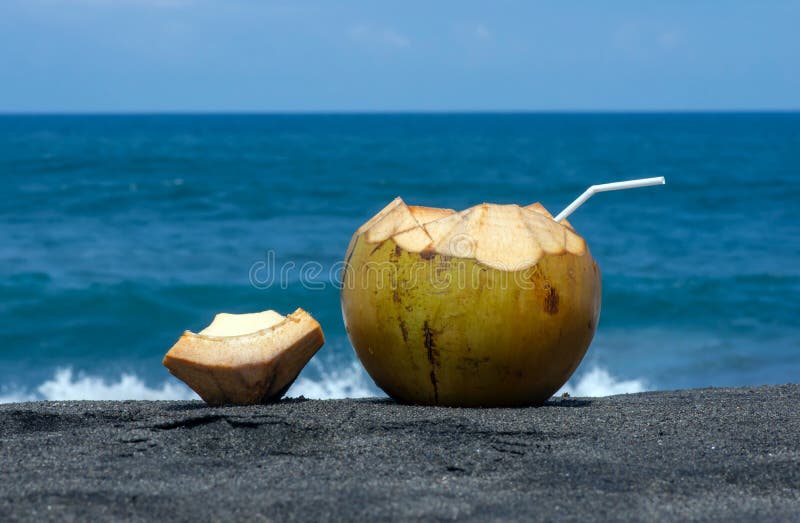 Jeunes fruits de coco frais sur la plage de sable foncé au sud de l'île de java indonesia. Jeunes fruits de coco frais sur la plage de sable foncé dans le sud de l'île de java indonesia sélectionné focus avec fond bleu océan indien.
