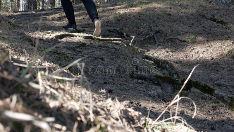 Jeunes hausses de touristes d'homme loin, par la forêt clips vidéos