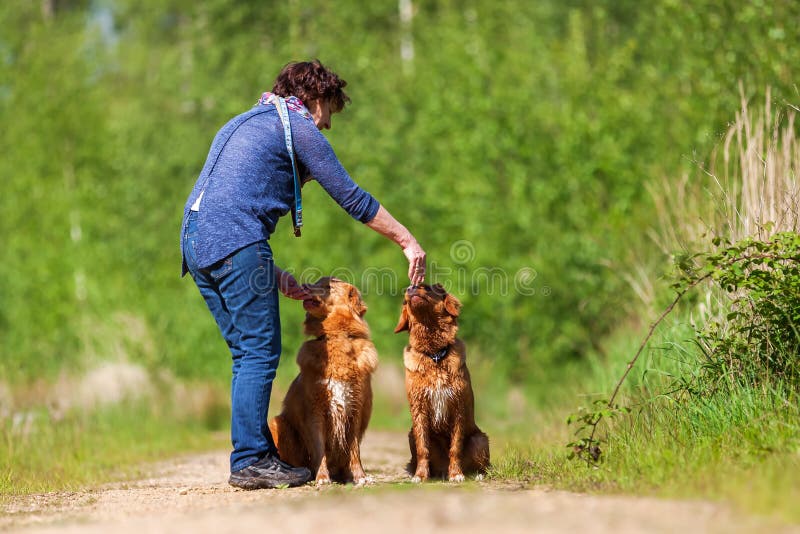 Jeux de femme avec le chien d'arrêt de tintement de canard de Nova Scotia image libre de droits Jeux de femme avec le chien d'arrêt de tintement de canard de Nova Scotia image libre de droits