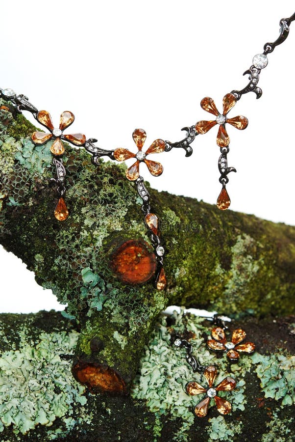 Jewelry on Dry Mossy Brunch Stock Photo Image of bead, natural 25561828