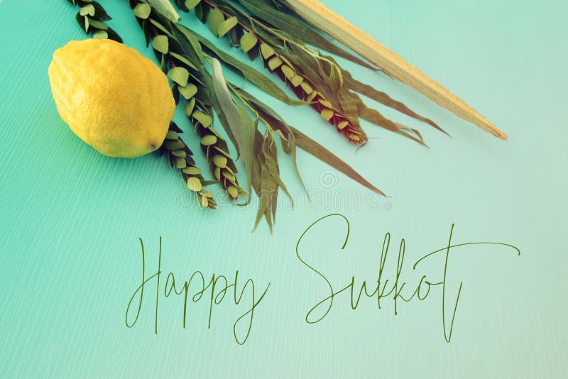 Jewish festival of Sukkot. Traditional symbols The four species: Etrog, lulav, hadas, arava. stock images Jewish festival of Sukkot. Traditional symbols The four species: Etrog, lulav, hadas, arava. stock images