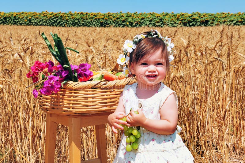 Jewish Holidays - Shavuot stock photography Jewish Holidays - Shavuot stock photography