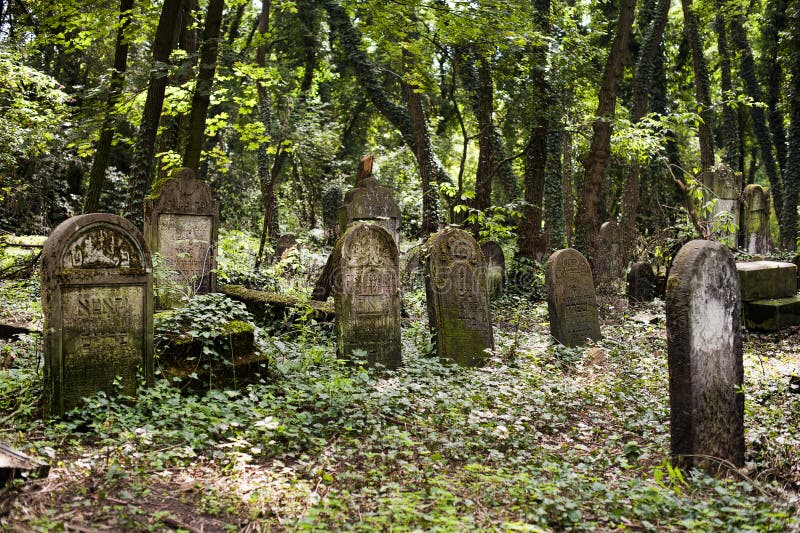 Ebreo tomba vecchio cimitero, Bene una foto un qualunque cosa anime.