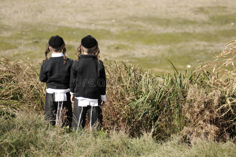 Jews, jewish, judaism, hasidim, back, behind