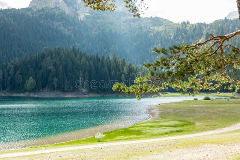 Jezero preto de Crno do lago, parque Durmitor, Montenegro imagem de stock royalty free Jezero preto de Crno do lago, parque Durmitor, Montenegro imagem de stock royalty free