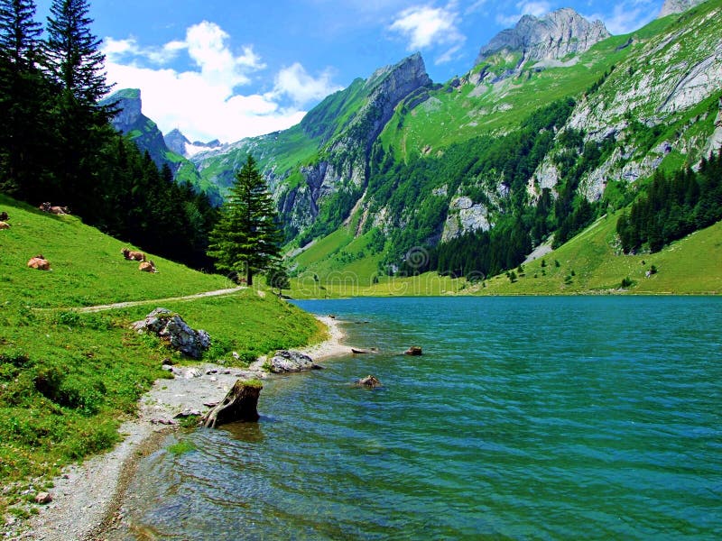 Jezioro, góra, woda, krajobraz, natura, góry, niebo, błękit, rzeka, las, lato, odbicie, zieleń, sceniczna, widok, podróż, cl obraz stock
