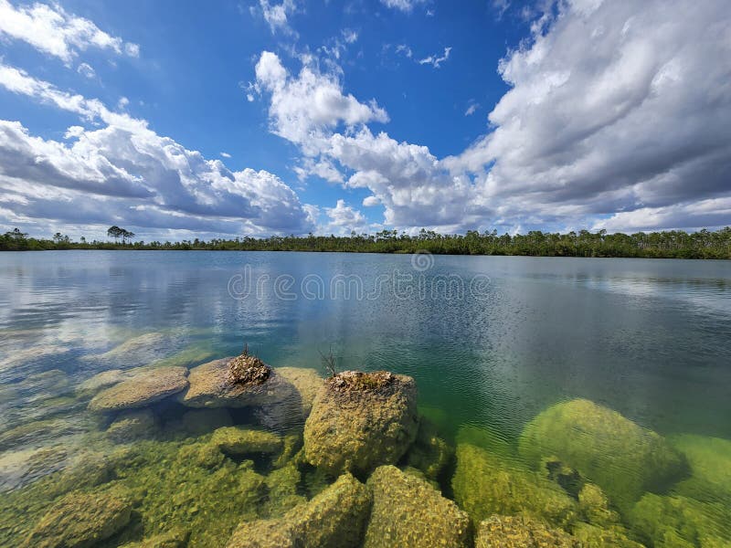 Jezioro sosnowe w everglades park narodowy florida. obraz stock