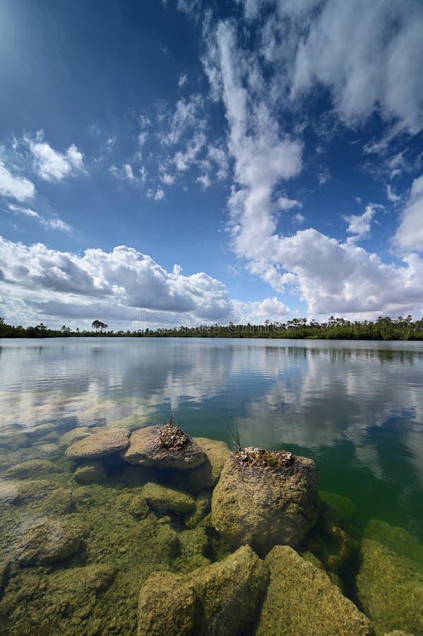 Jezioro sosnowe w everglades park narodowy florida. obraz stock