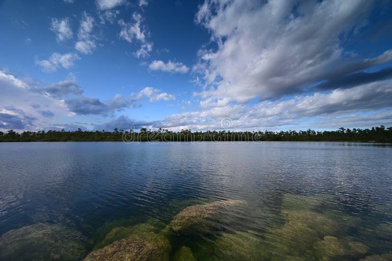 Jezioro sosnowe w everglades park narodowy florida. zdjęcia stock