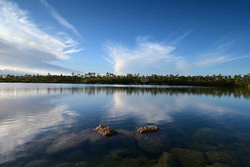Jezioro sosnowe w everglades park narodowy florida. zdjęcia royalty free