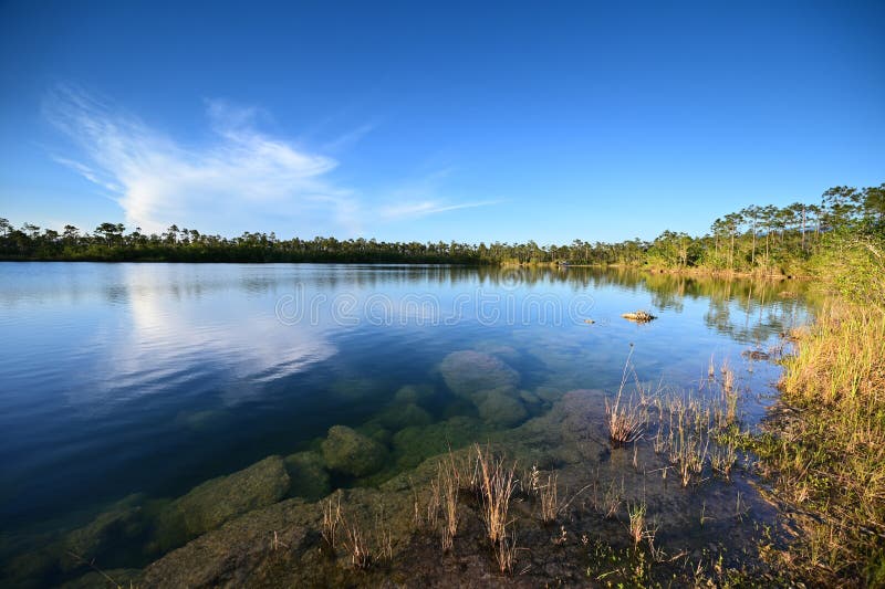 Jezioro sosnowe w everglades park narodowy florida. obraz stock