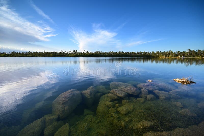Jezioro sosnowe w everglades park narodowy florida. zdjęcie stock