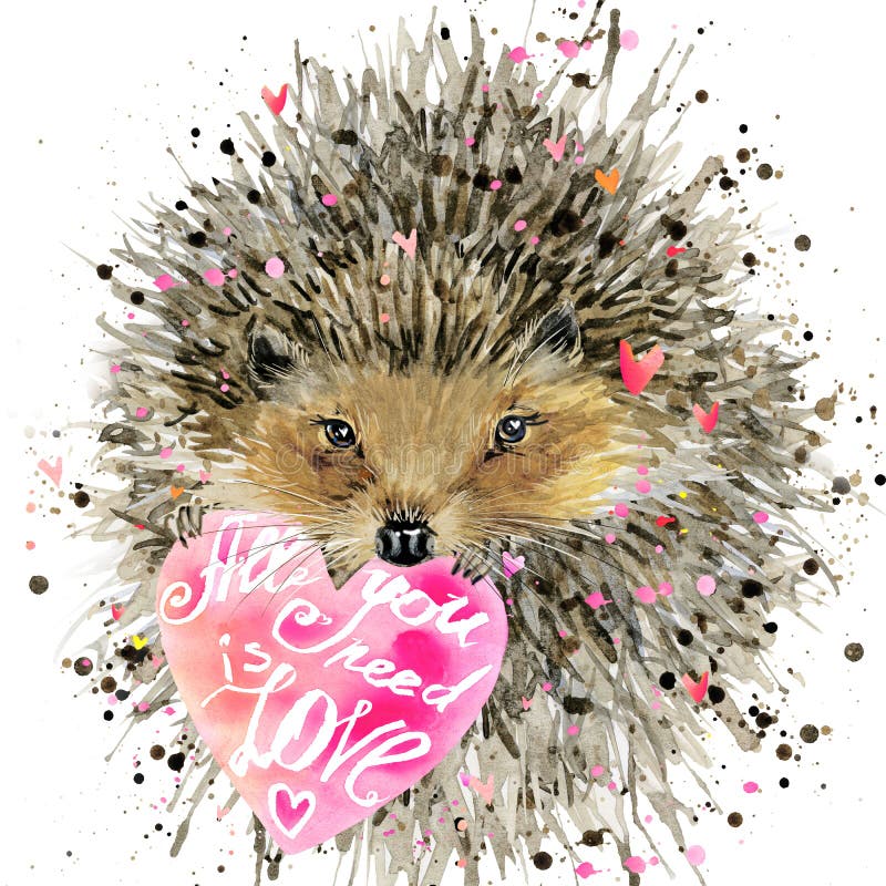 Watercolor hedgehog. hedgehog illustration with valentines heart, splash watercolor textured background. All you need is love text. illustration watercolor hedgehog for print, poster, valentines card. Watercolor hedgehog. hedgehog illustration with valentines heart, splash watercolor textured background. All you need is love text. illustration watercolor hedgehog for print, poster, valentines card