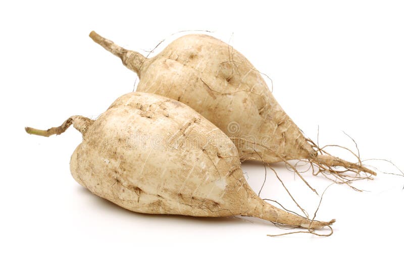 Jicama image stock. Image du fond, légume, navet, entier 34395407