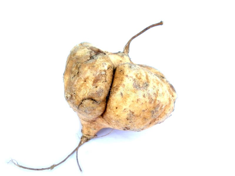 Jicama thai fruit stock photo. Image of thailand, sweet 62433574