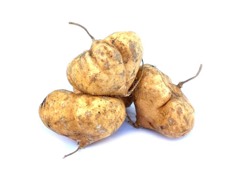 Jicama thai fruit stock photo. Image of tropical, asia 62385454