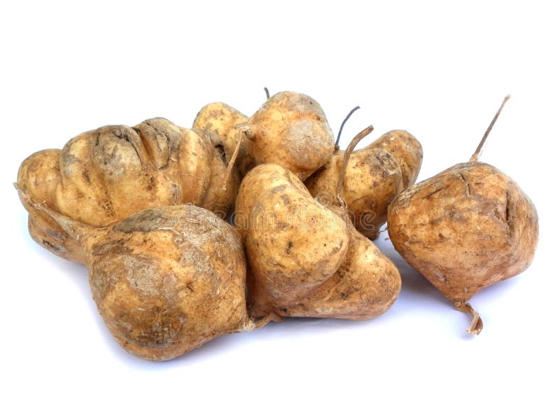 581 Jicama Fruit Stock Photos Free & RoyaltyFree Stock Photos from