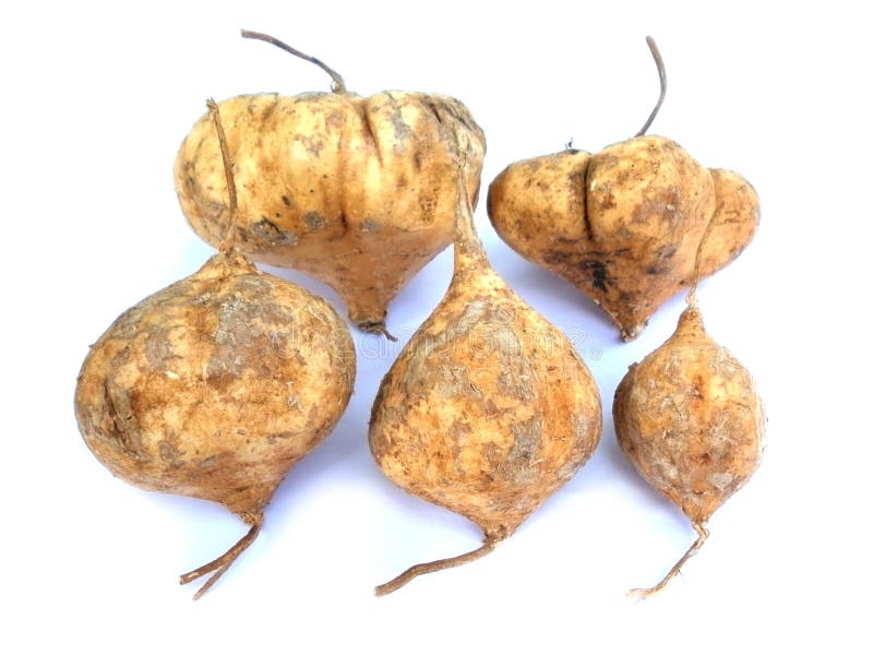 Jicama thai fruit stock photo. Image of tropical, asia 62385454