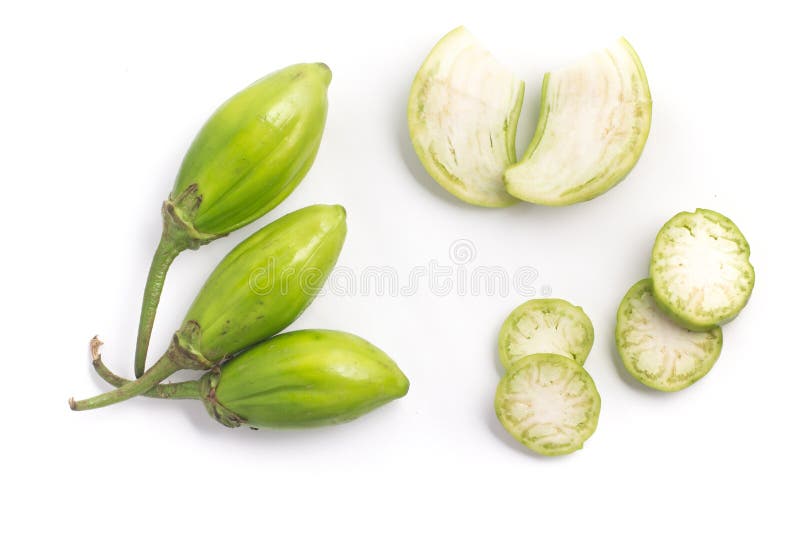 146 Scarlet Eggplant Stock Photos - Free & Royalty-Free Stock Photos from  Dreamstime