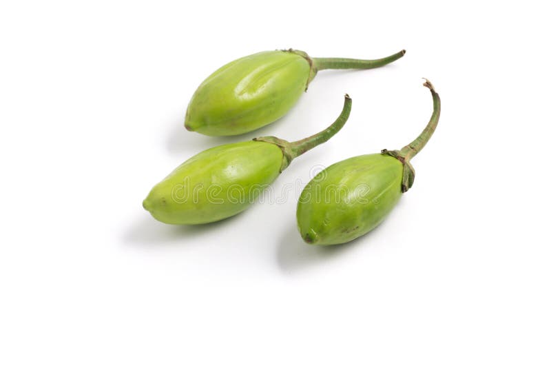 Lot of lot of vibrant green scarlet eggplant vegetable on top of each other  against a black background. Graphic minimalist image of food. Stock Photo