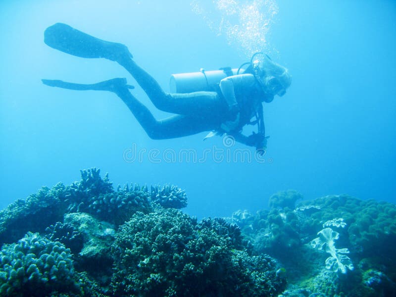 Underwater photo of scuba divers exploring a pristine tropical coral reef on a paradise vacation adventure. Underwater photo of scuba divers exploring a pristine tropical coral reef on a paradise vacation adventure