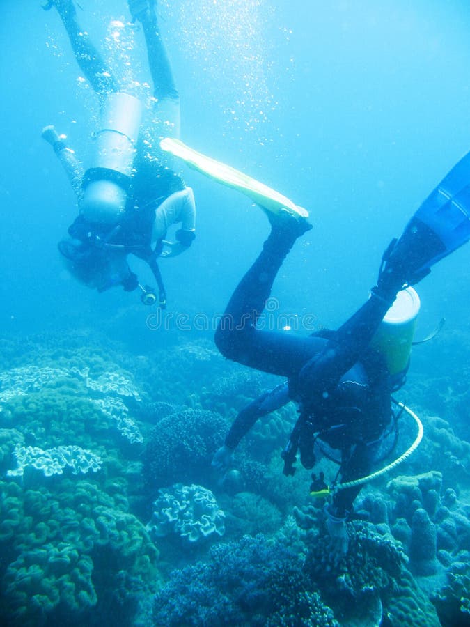 Underwater photo of scuba divers exploring a pristine tropical coral reef on a paradise vacation adventure. Underwater photo of scuba divers exploring a pristine tropical coral reef on a paradise vacation adventure