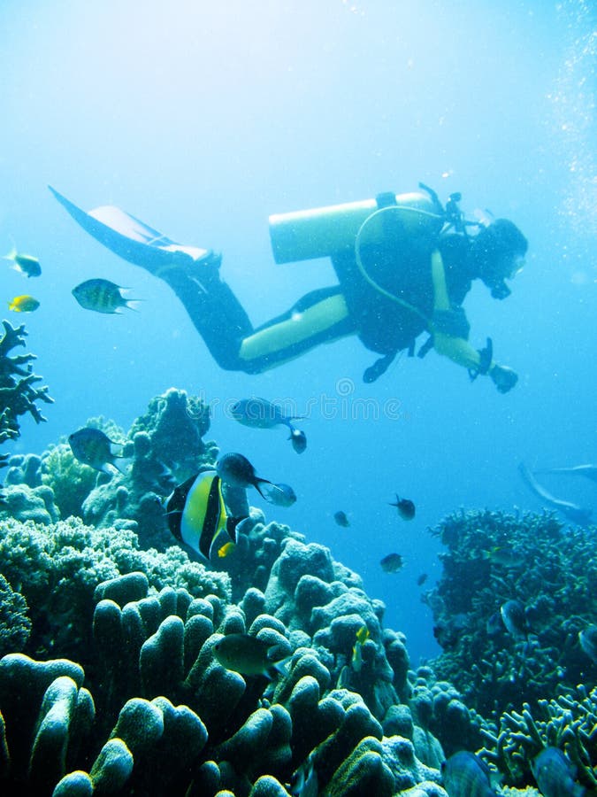 Underwater photo of scuba diver exploring a pristine tropical coral reef on a paradise vacation adventure. Underwater photo of scuba diver exploring a pristine tropical coral reef on a paradise vacation adventure