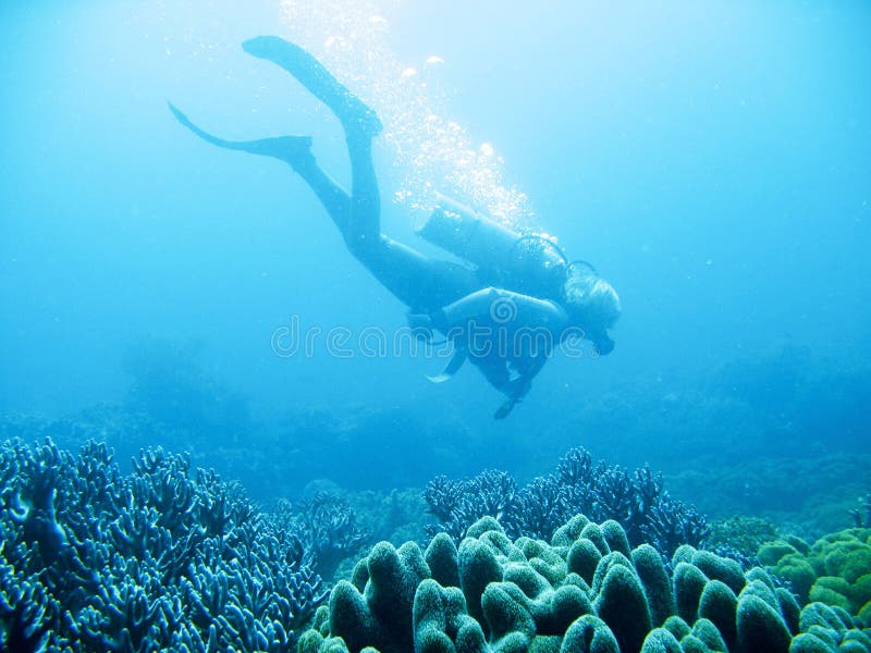 Underwater photo of scuba diver exploring a pristine tropical coral reef on a paradise vacation adventure. Underwater photo of scuba diver exploring a pristine tropical coral reef on a paradise vacation adventure