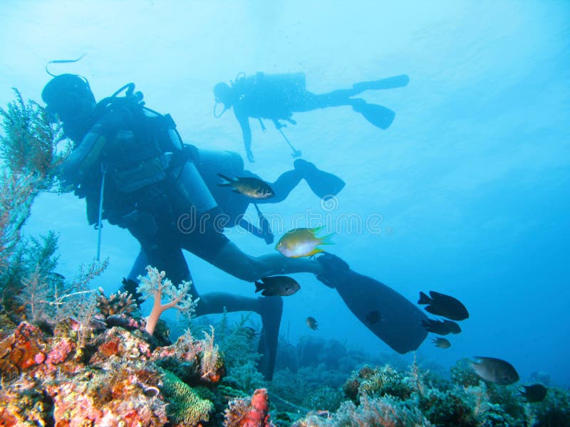 Underwater photo of scuba divers exploring a pristine tropical coral reef on a paradise vacation adventure. Underwater photo of scuba divers exploring a pristine tropical coral reef on a paradise vacation adventure