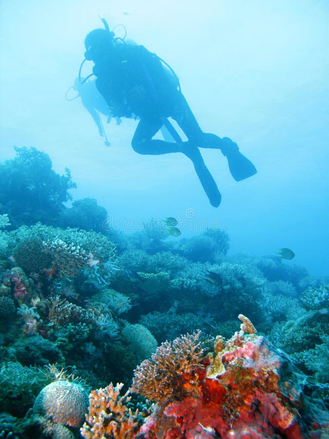 Underwater photo of scuba divers exploring a pristine tropical coral reef on a paradise vacation adventure. Underwater photo of scuba divers exploring a pristine tropical coral reef on a paradise vacation adventure