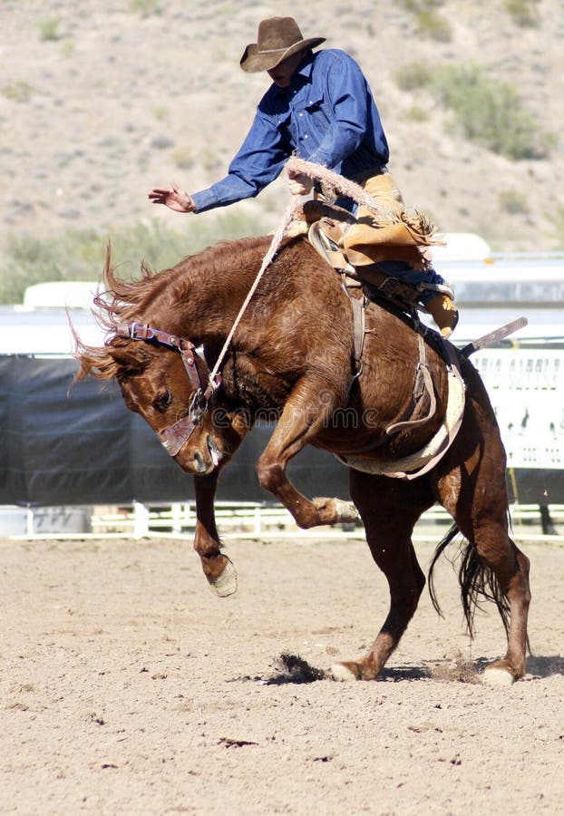 Jinete Bucking del Bronc del rodeo imagen de archivo Jinete Bucking del Bronc del rodeo imagen de archivo