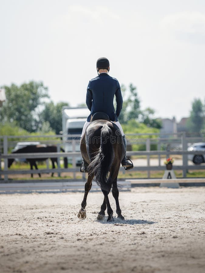 Fresco vacío Cancelar Jinete De Hombre Y Semental Negro Con Eventos De Caballos Trotando  Legrédito Durante La Competencia De Ropa Ecuestre Foto de archivo - Imagen  de caliente, animal: 224401582