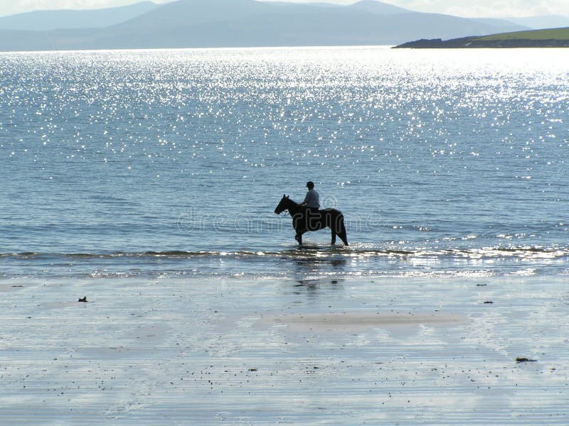 Jinete del caballo en la playa foto de archivo libre de regalías Jinete del caballo en la playa foto de archivo libre de regalías