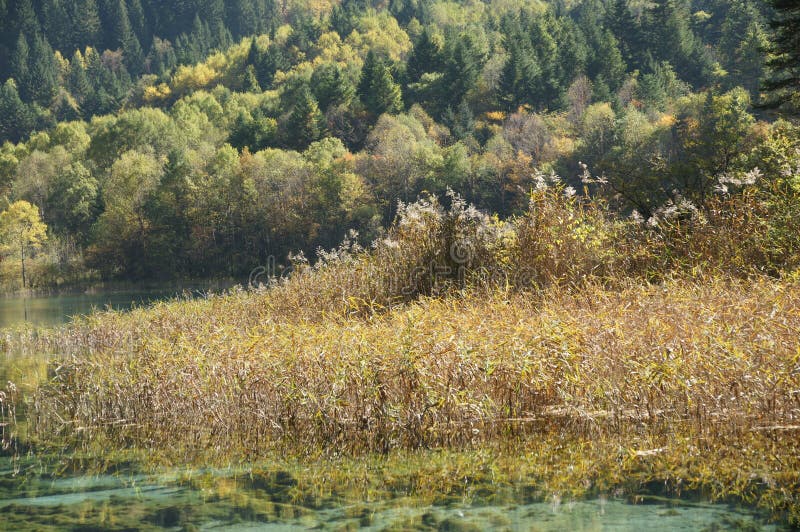 Jiuzhaigou autumn scenery in China