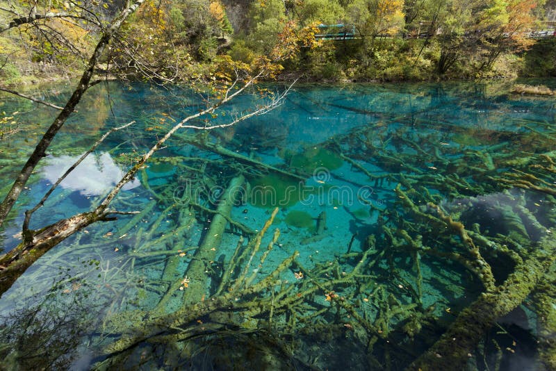 Jiuzhaigou Lake Stock Photo Image Of Autumn Heritage 42124868