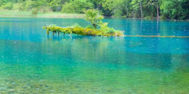 Jiuzhaigou Lake And Forest Trees。 Jiuzhaigou Is A Famous Natural Scenic