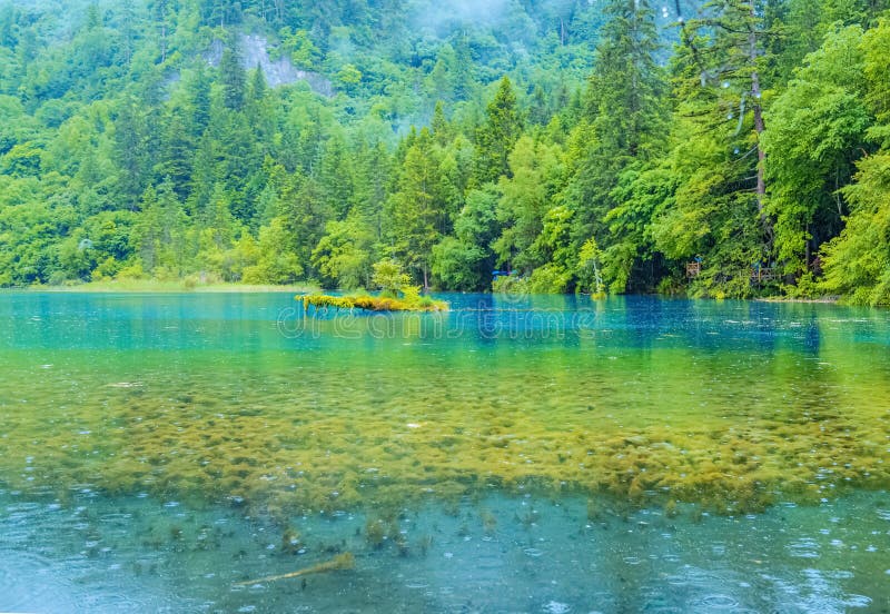 Jiuzhaigou Lake And Forest Trees。 Jiuzhaigou Is A Famous Natural Scenic