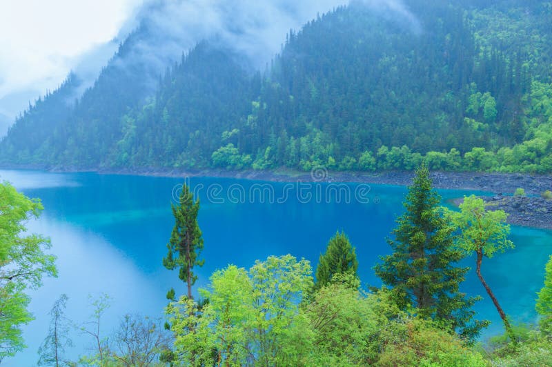 Jiuzhaigou Lake And Forest Trees。 Jiuzhaigou Is A Famous Natural Scenic