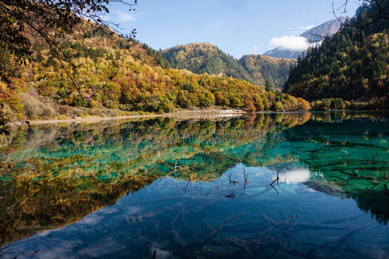 Autumn Tree Mountain And Lake In Jiuzhaigou Stock Image Image Of