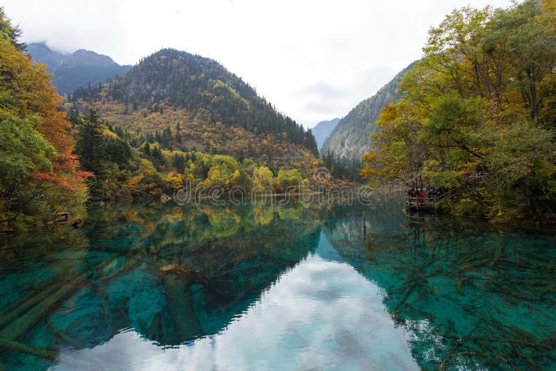 Jiuzhaigou National Park Stock Photo Image Of Forest 85316670