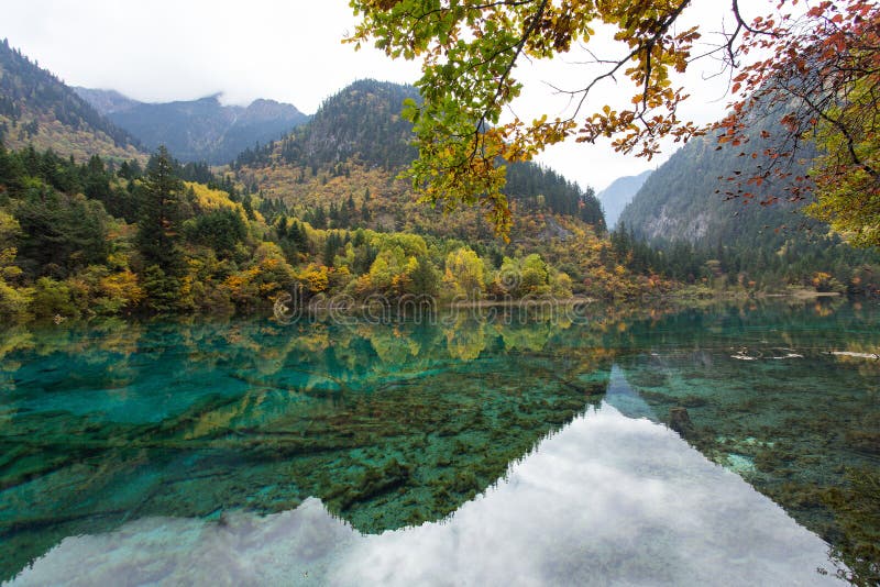 206 Five Flower Lake Jiuzhaigou National Park China Stock Photos Free