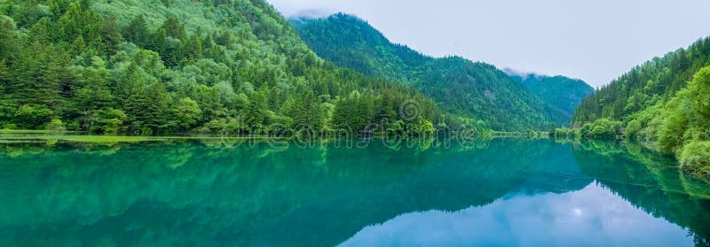 Jiuzhaigou Lake And Forest Trees。 Jiuzhaigou Is A Famous Natural Scenic