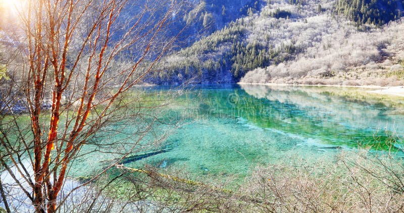 Jiuzhaigou Valley Scenic Stock Image Image Of Lake Five 31197527