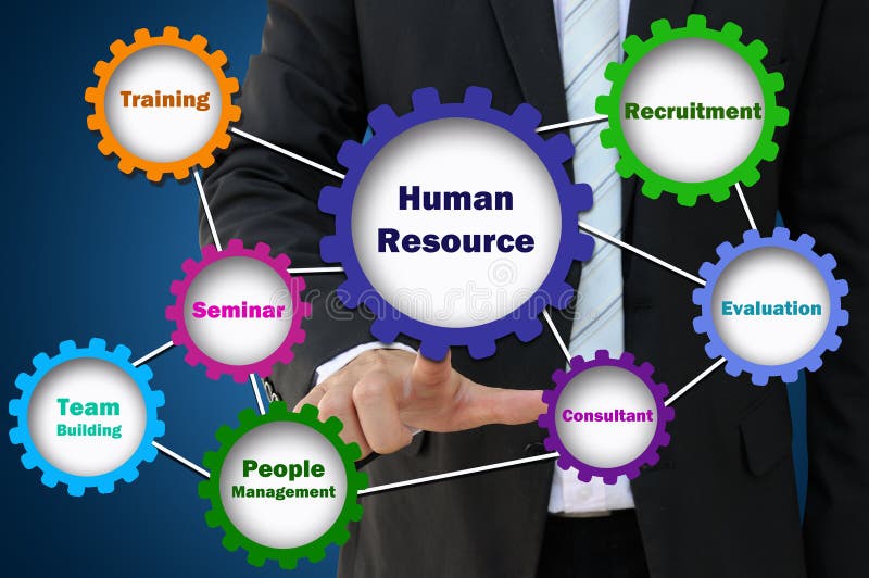 Job and Role of Human Resources Present by Gear Stock Illustration