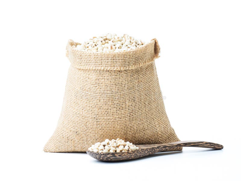 Jobâ€™s Tears stock image. Image of grain, protein, cuisine 214186165